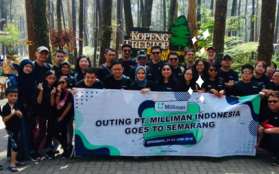 Pengalaman Internship Claresta Felim